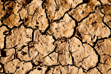 Similar image 9224996