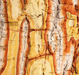 Similar image 9225041