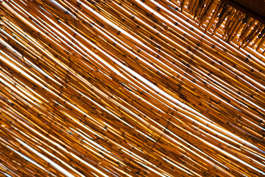 Similar image 9225054