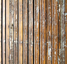 Similar image 9225064