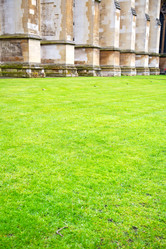 Similar image 9225069