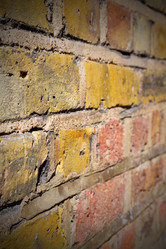 Similar image 9225154