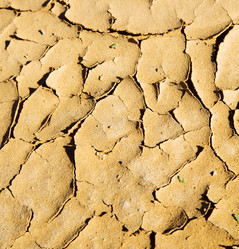 Similar image 9225261