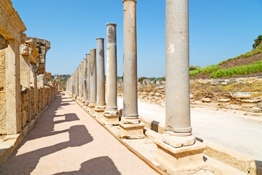 Similar image 9225264