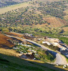 Similar image 9225341