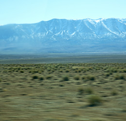 Similar image 9225344