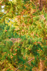 Similar image 9225573