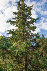 Similar image 9225575