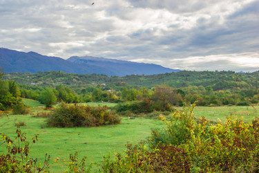 Similar image 9225582