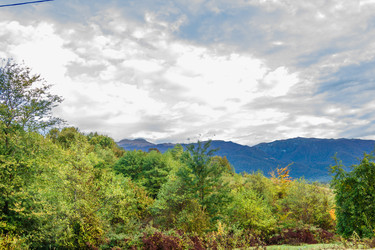 Similar image 9225587