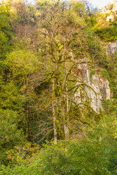 Similar image 9225589