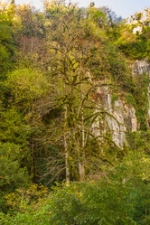 Similar image 9225591