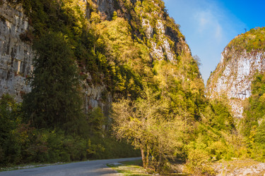 Similar image 9225593