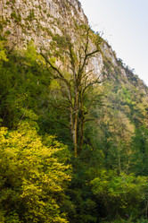 Similar image 9225656