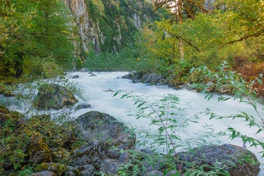 Similar image 9225661