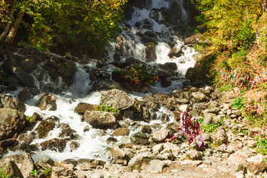 Similar image 9225672