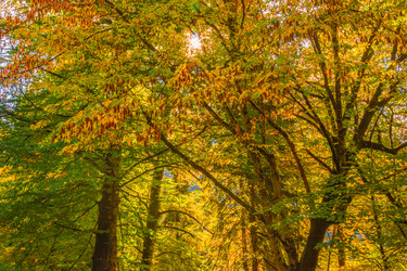 Similar image 9225674