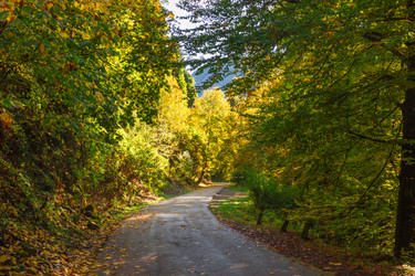 Similar image 9225690