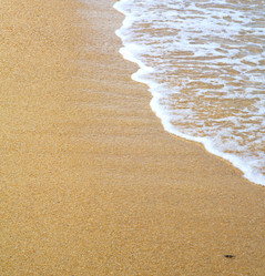 Similar image 9225770