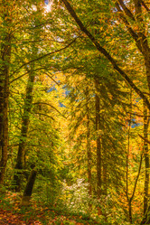 Similar image 9225804