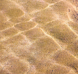 Similar image 9225908