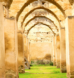 Similar image 9225916