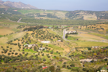 Similar image 9226222