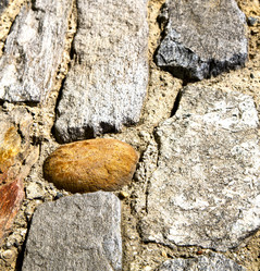 Similar image 9226230