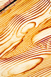 Similar image 9226234