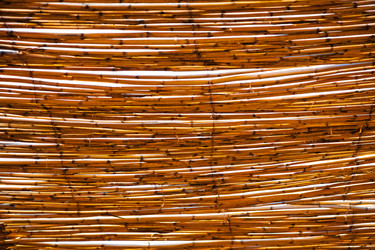 Similar image 9226466