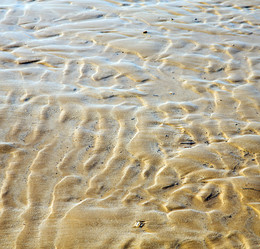 Similar image 9226503