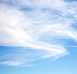 Similar image 9226505