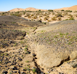 Similar image 9226509