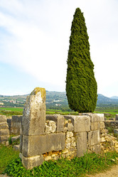 Similar image 9226631