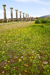 Similar image 9226634