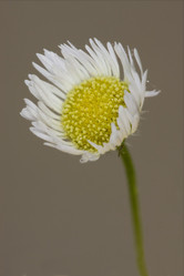 Similar image 9226736