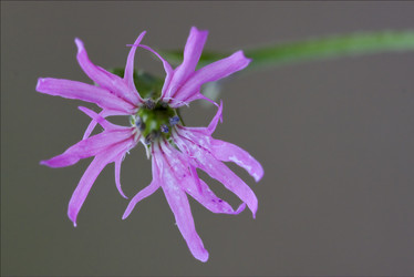 Similar image 9226781