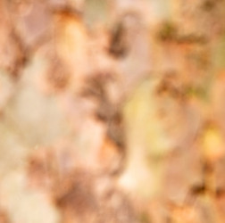 Similar image 9227525