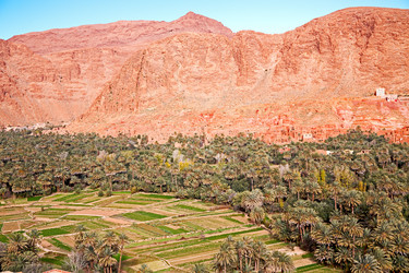 Similar image 9227753