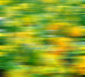 Similar image 9228009