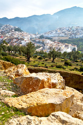 Similar image 9228171