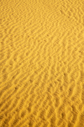 Similar image 9228300