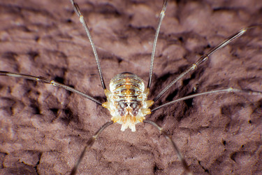 Similar image 9233161