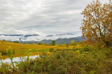 Similar image 9233180