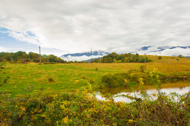 Similar image 9233182