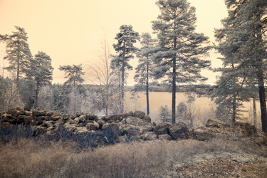 Similar image 9233283