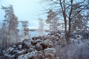 Similar image 9233286