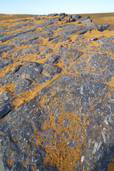 Similar image 9235079