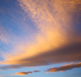 Similar image 9235583