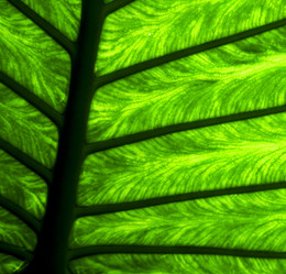 Similar image 9235589